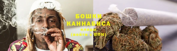 мескалин Богородицк