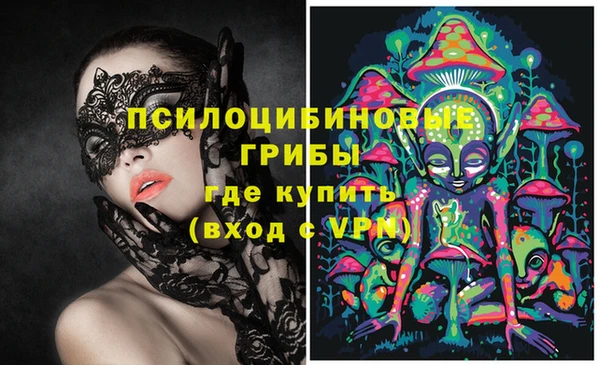 мескалин Богородицк